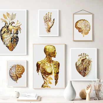 Anatomija Žmogaus Širdies, Smegenų Vertus Kūno Aukso Plakatas Ir Spausdinimo Abstrakčiai Organų Sienos Meno Tapybos Drobės Kambarį Namo Apdaila